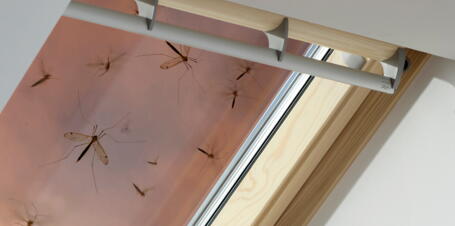 Ein Insektenschutz im Kinderzimmer ist ein Muss | VELUX Magazin