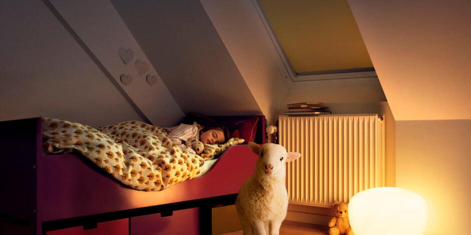 Schlafendes Kind im Bett unter Dachschräge | VELUX Magazin