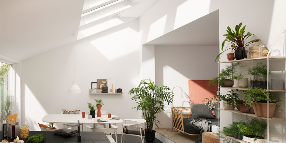 Zimmerpflanzen in großem Raum mit vielen Dachfenstern | VELUX Magazin